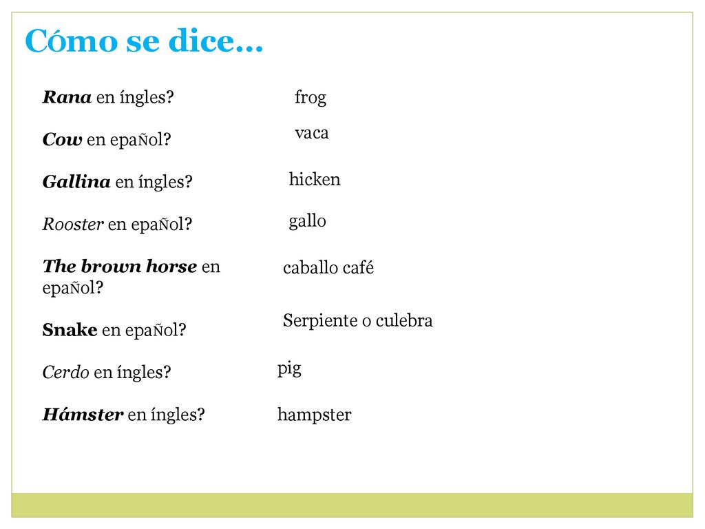 CÓmo se dice… Rana en íngles Cow en epaÑol Gallina en íngles