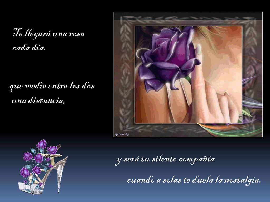 Te llegará una rosa cada día, que medie entre los dos. una distancia, y será tu silente compañía.