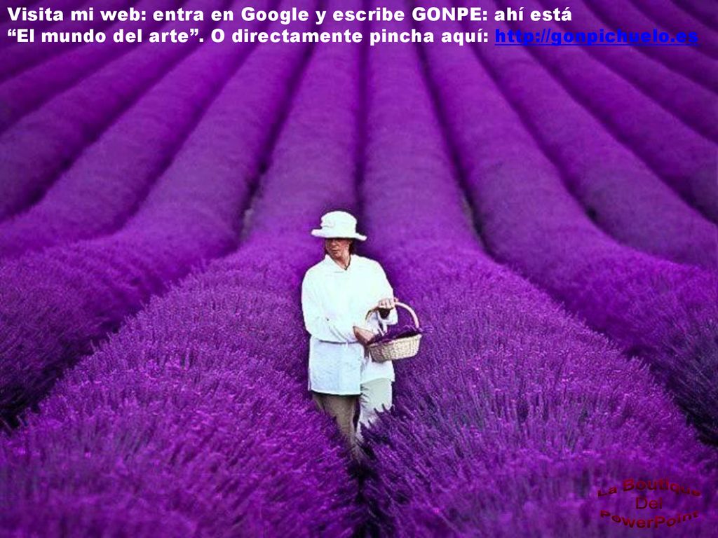 Visita mi web: entra en Google y escribe GONPE: ahí está