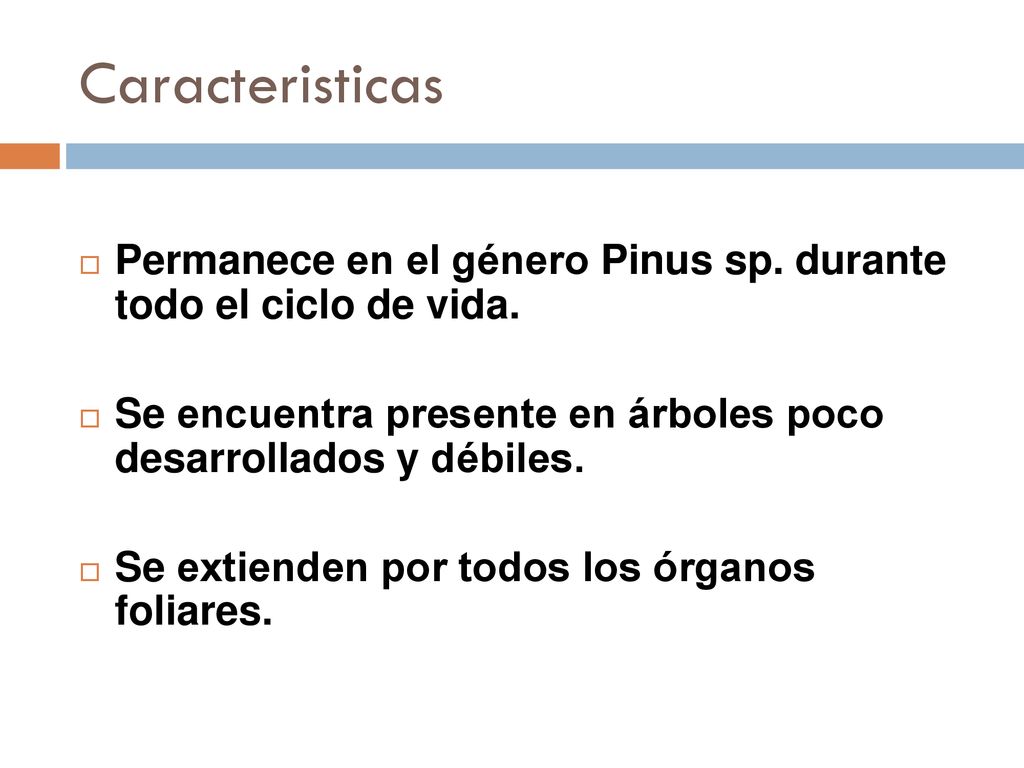 Caracteristicas Permanece en el género Pinus sp. durante todo el ciclo de vida. Se encuentra presente en árboles poco desarrollados y débiles.