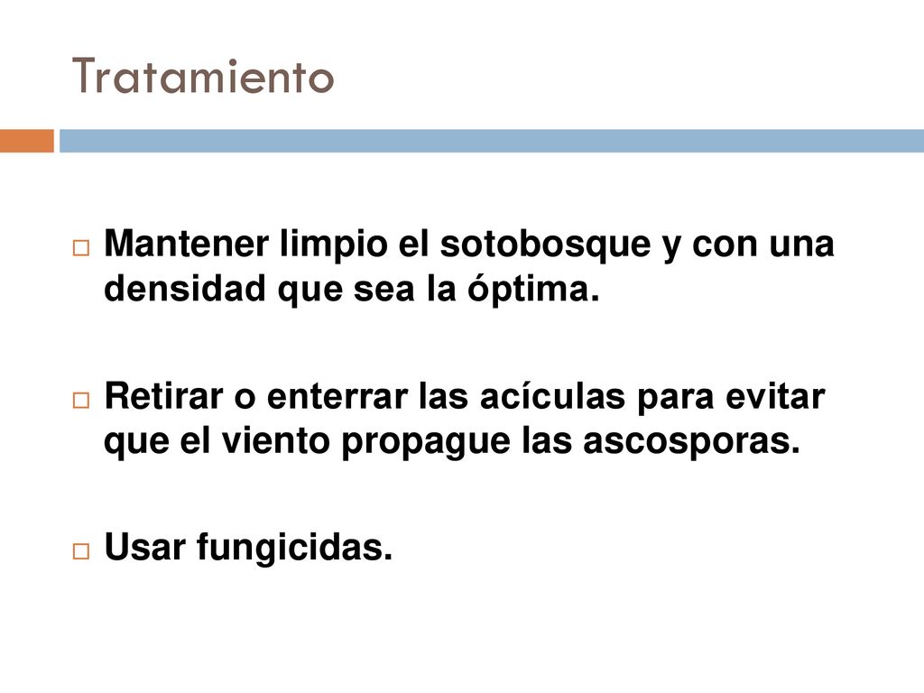 Tratamiento Mantener limpio el sotobosque y con una densidad que sea la óptima.