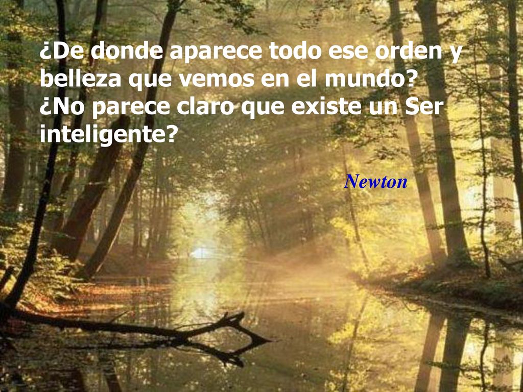¿De donde aparece todo ese orden y belleza que vemos en el mundo