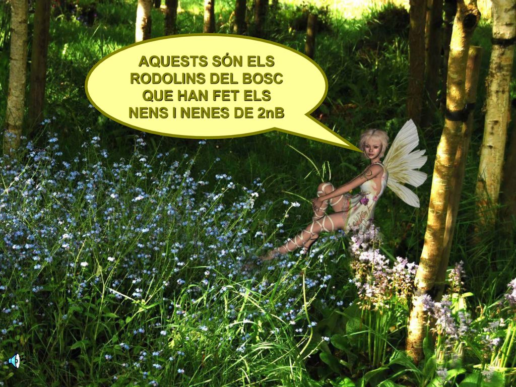 AQUESTS SÓN ELS RODOLINS DEL BOSC QUE HAN FET ELS NENS I NENES DE 2nB