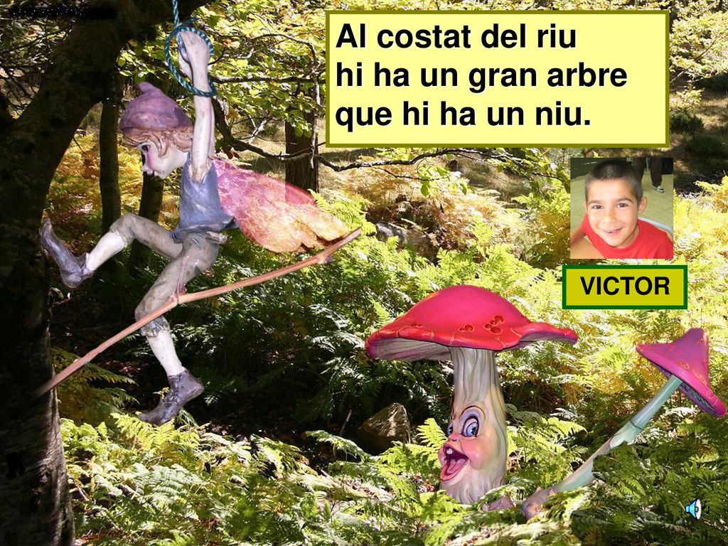 Al costat del riu hi ha un gran arbre que hi ha un niu. VICTOR