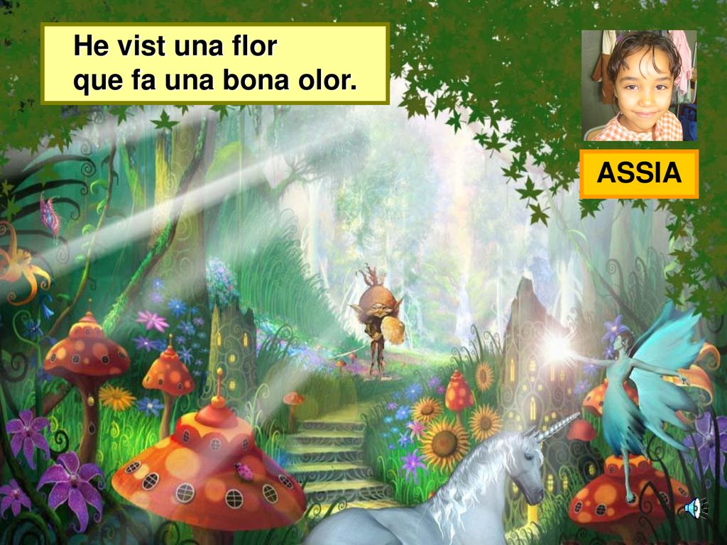 He vist una flor que fa una bona olor. ASSIA