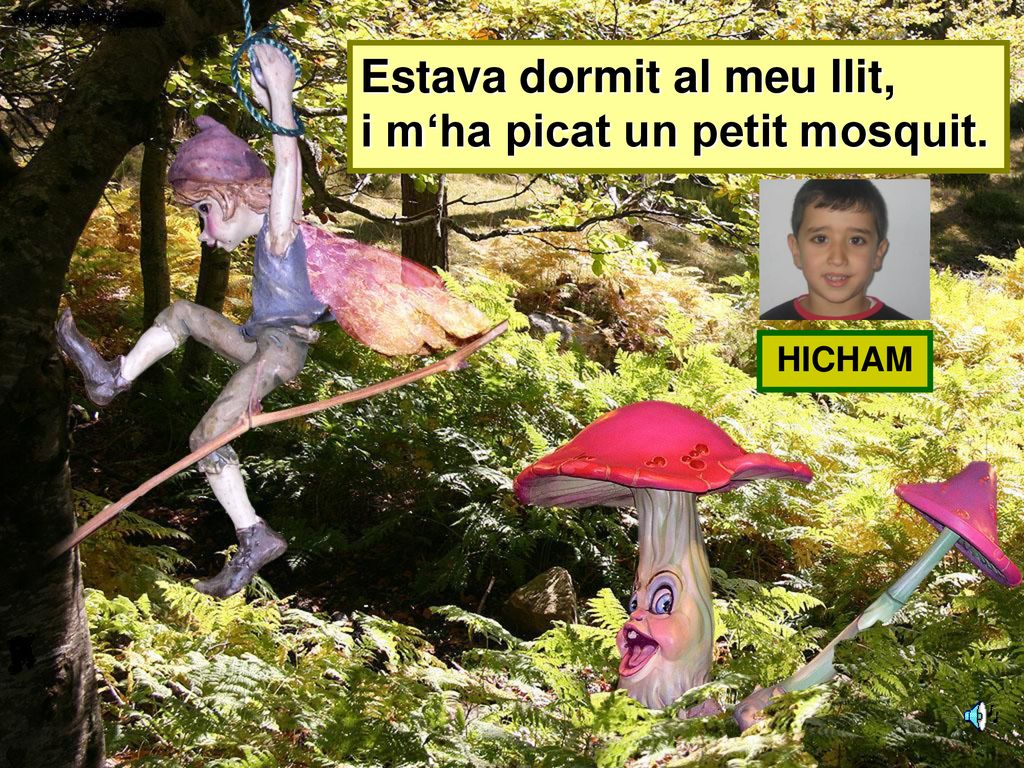 Estava dormit al meu llit, i m‘ha picat un petit mosquit.