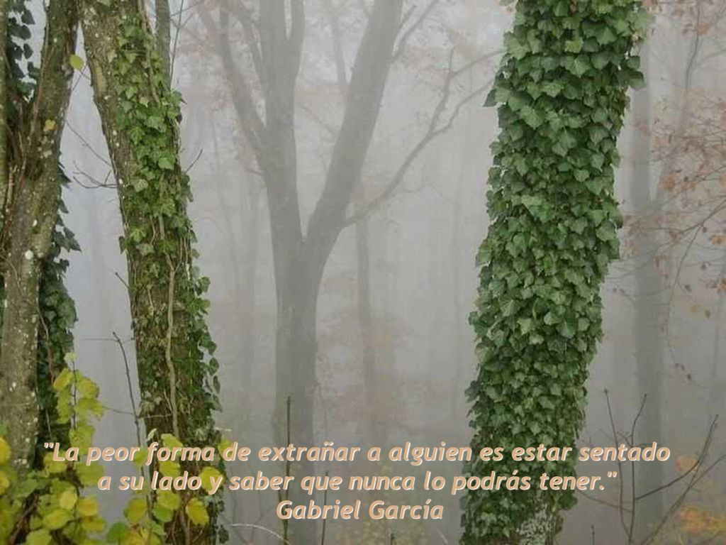 La peor forma de extrañar a alguien es estar sentado a su lado y saber que nunca lo podrás tener.