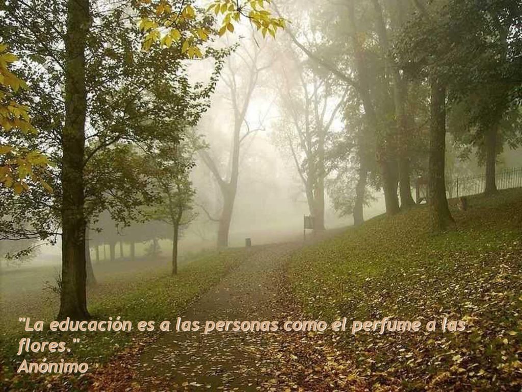 La educación es a las personas como el perfume a las flores.