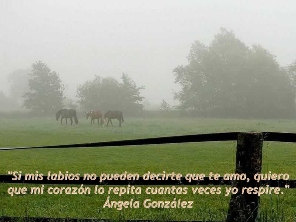 Si mis labios no pueden decirte que te amo, quiero que mi corazón lo repita cuantas veces yo respire.