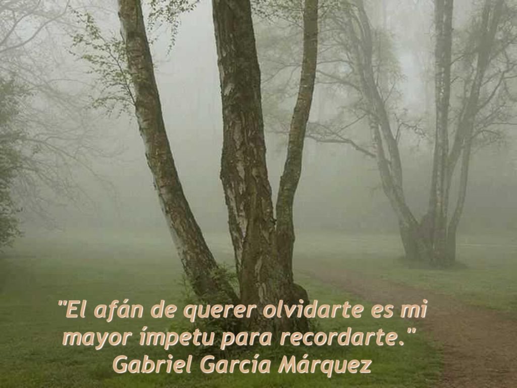 El afán de querer olvidarte es mi mayor ímpetu para recordarte.