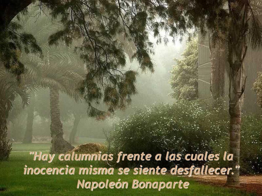 Hay calumnias frente a las cuales la inocencia misma se siente desfallecer.