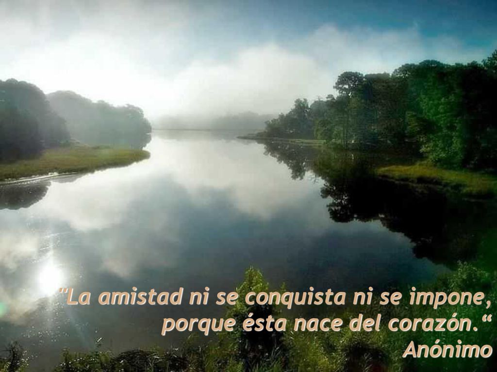 La amistad ni se conquista ni se impone, porque ésta nace del corazón