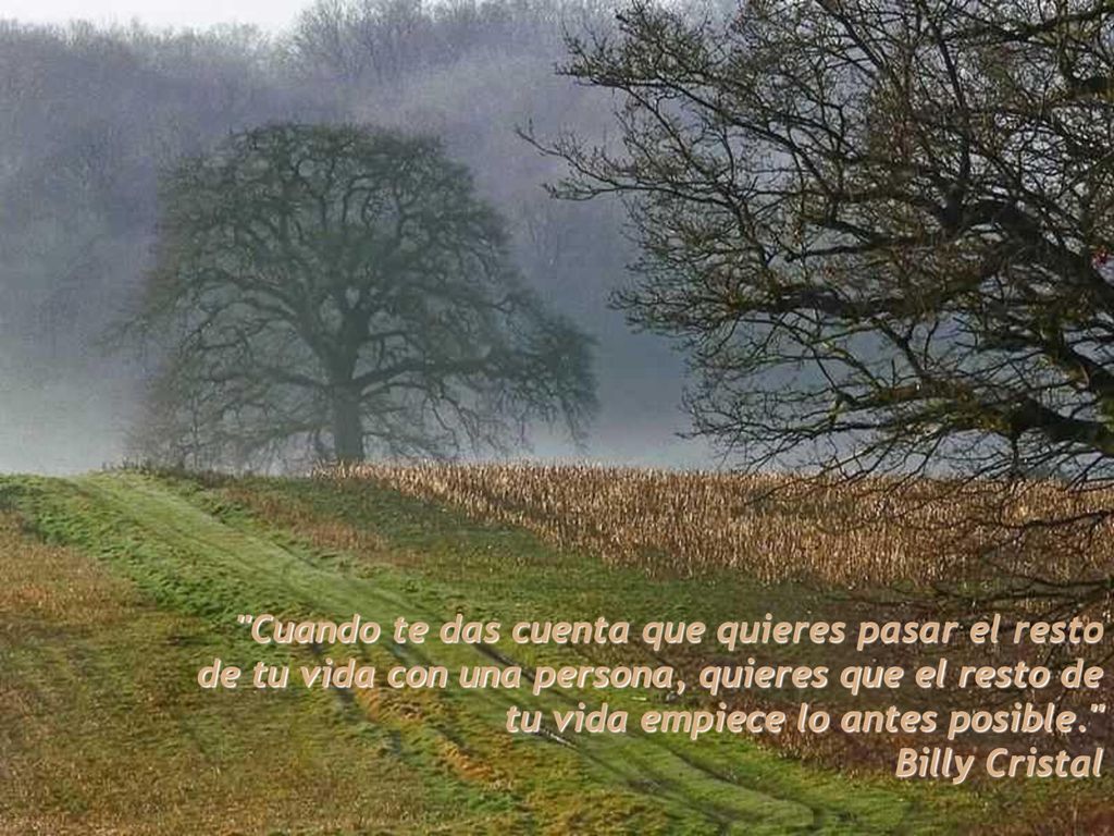 Cuando te das cuenta que quieres pasar el resto de tu vida con una persona, quieres que el resto de tu vida empiece lo antes posible.