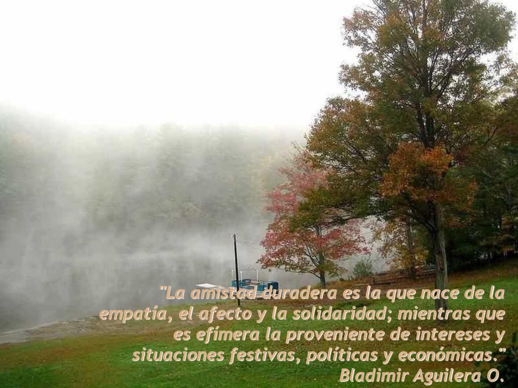 La amistad duradera es la que nace de la empatía, el afecto y la solidaridad; mientras que es efímera la proveniente de intereses y situaciones festivas, políticas y económicas.