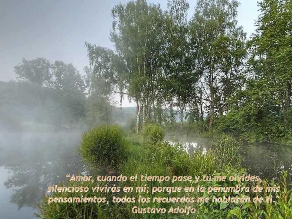 Amor, cuando el tiempo pase y tú me olvides, silencioso vivirás en mí; porque en la penumbra de mis pensamientos, todos los recuerdos me hablarán de ti.