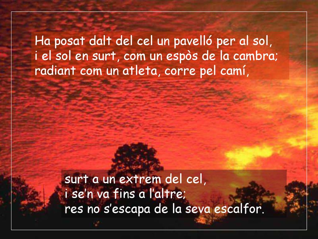 Ha posat dalt del cel un pavelló per al sol,