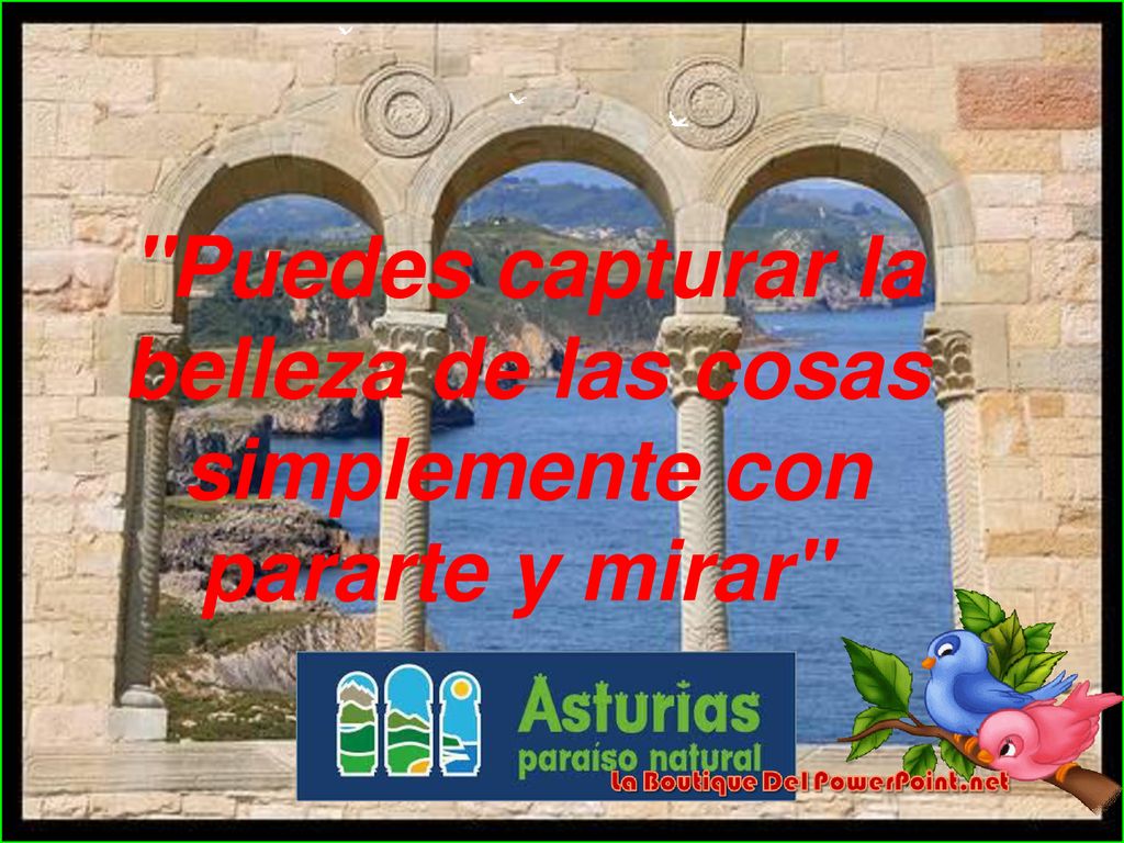 Puedes capturar la belleza de las cosas simplemente con pararte y mirar