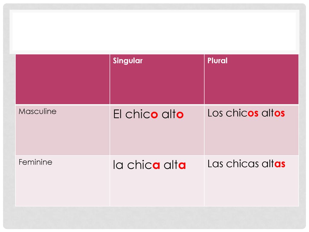 El chico alto la chica alta Los chicos altos Las chicas altas Singular