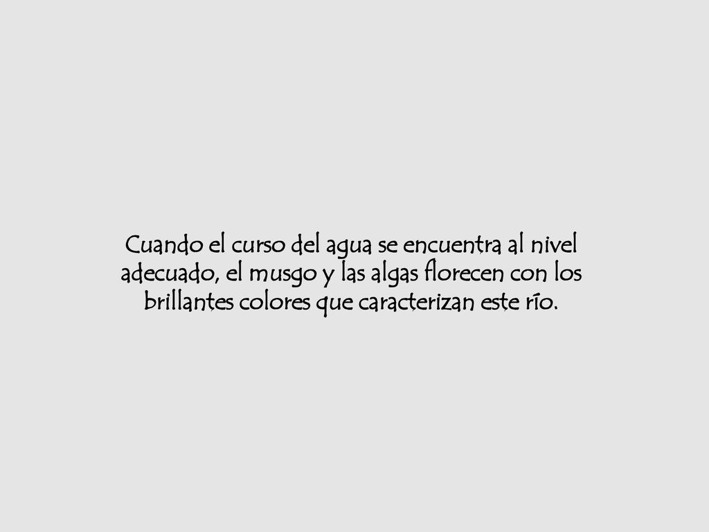 Cuando el curso del agua se encuentra al nivel adecuado, el musgo y las algas florecen con los brillantes colores que caracterizan este río.