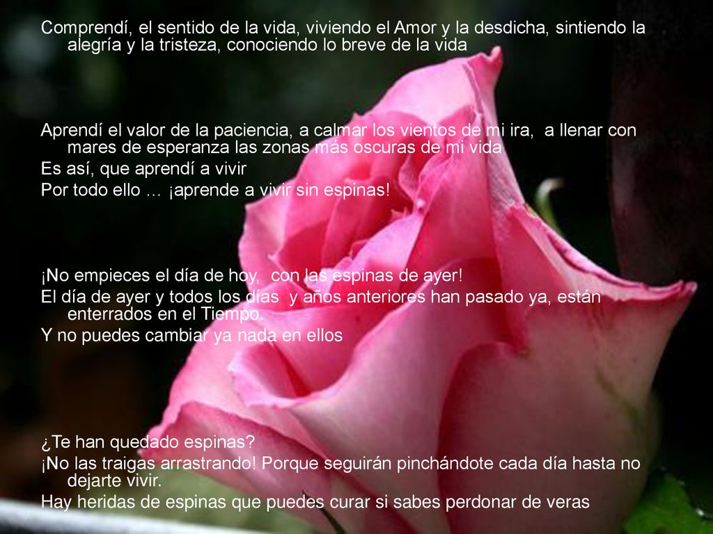 Comprendí, el sentido de la vida, viviendo el Amor y la desdicha, sintiendo la alegría y la tristeza, conociendo lo breve de la vida