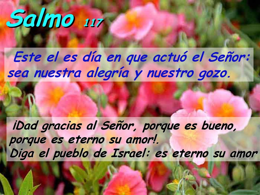 Salmo 117 Este el es día en que actuó el Señor: sea nuestra alegría y nuestro gozo.