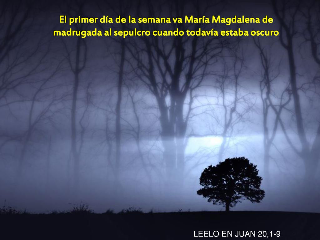 El primer día de la semana va María Magdalena de madrugada al sepulcro cuando todavía estaba oscuro