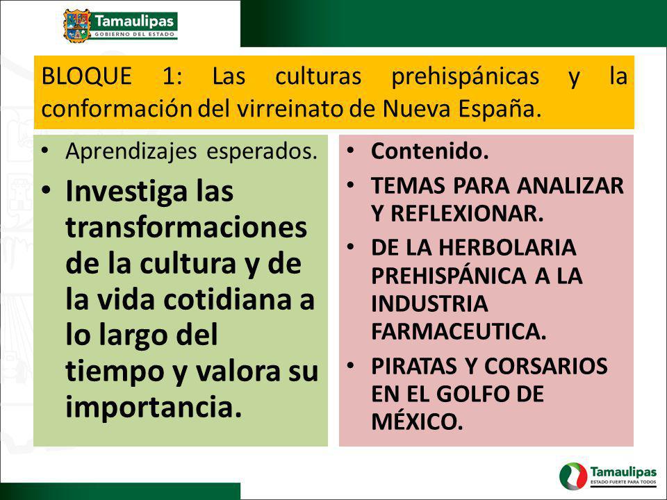 BLOQUE 1: Las culturas prehispánicas y la conformación del virreinato de Nueva España.