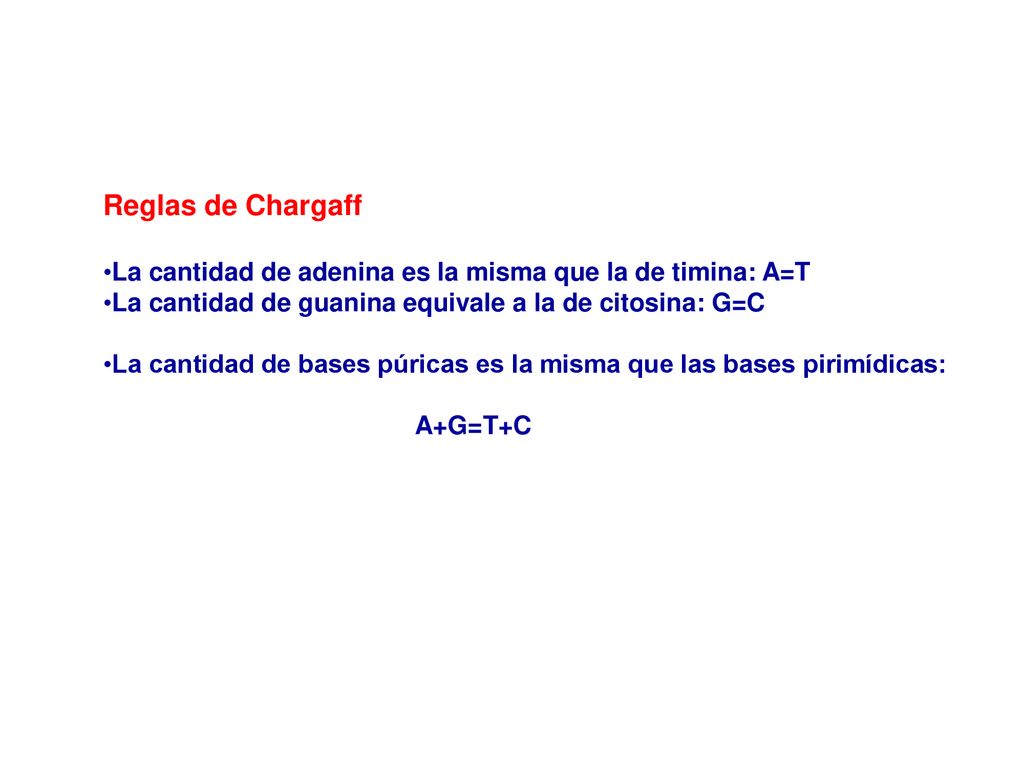 Reglas de Chargaff La cantidad de adenina es la misma que la de timina: A=T. La cantidad de guanina equivale a la de citosina: G=C.
