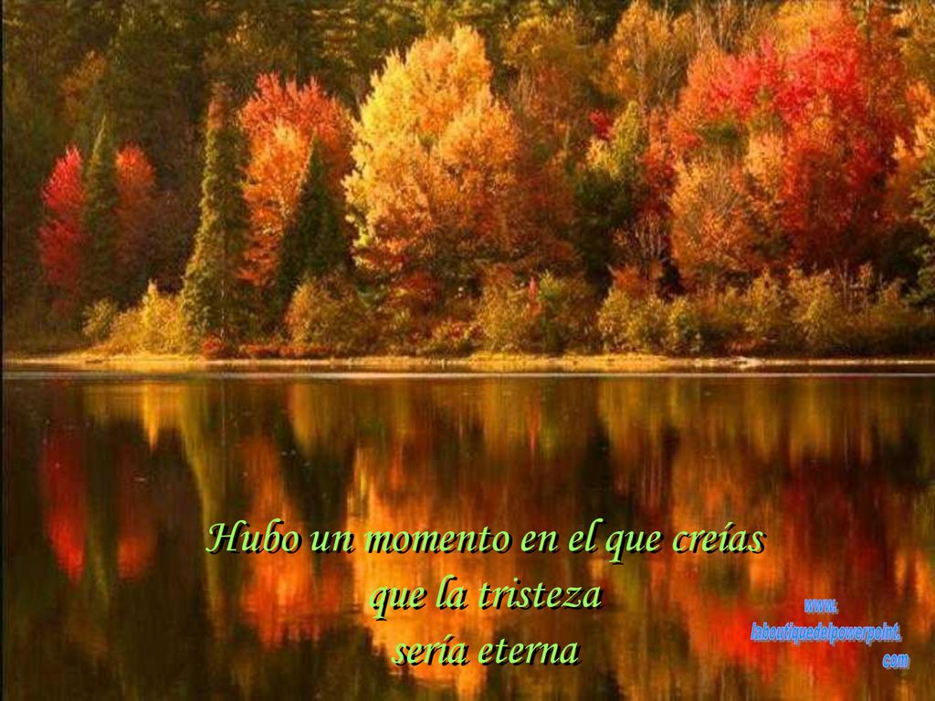 Hubo un momento en el que creías que la tristeza sería eterna
