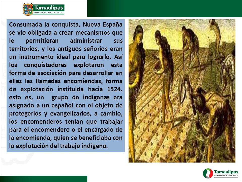 Consumada la conquista, Nueva España se vio obligada a crear mecanismos que le permitieran administrar sus territorios, y los antiguos señoríos eran un instrumento ideal para lograrlo.