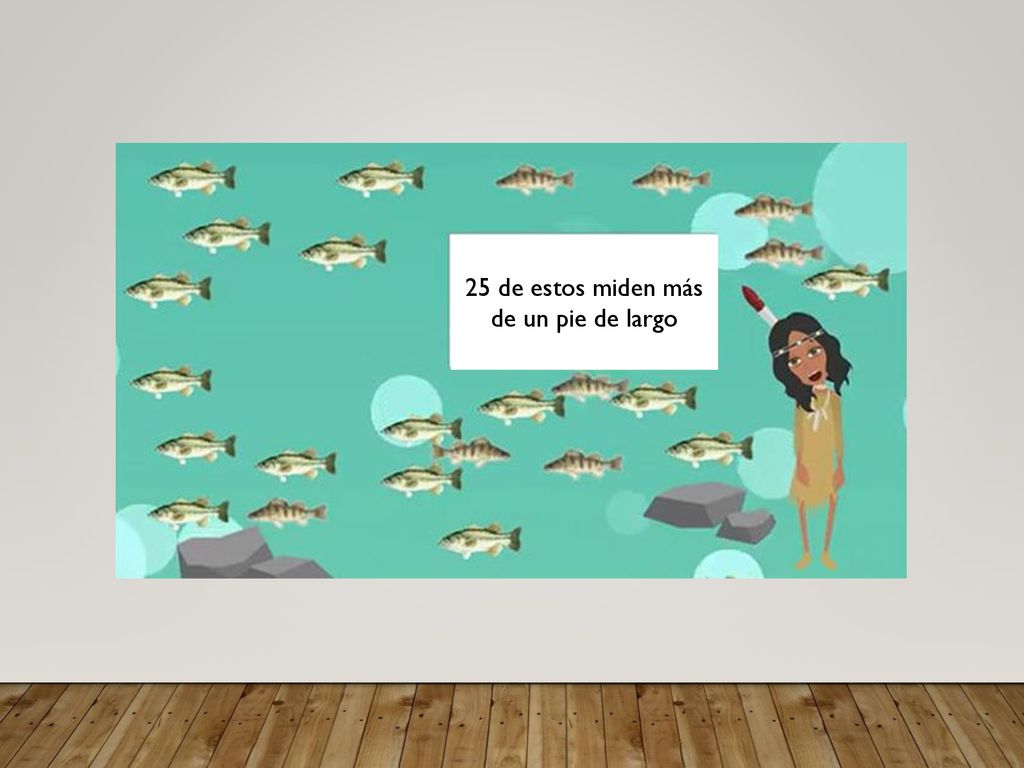 25 de estos miden más de un pie de largo
