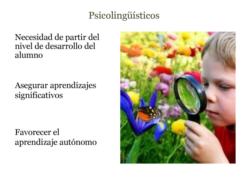 Psicolingüísticos Necesidad de partir del nivel de desarrollo del alumno. Asegurar aprendizajes significativos.