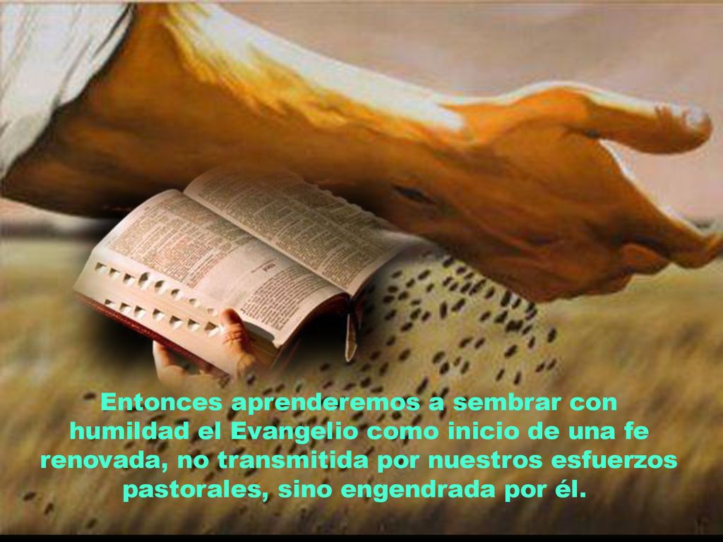 Entonces aprenderemos a sembrar con humildad el Evangelio como inicio de una fe renovada, no transmitida por nuestros esfuerzos pastorales, sino engendrada por él.