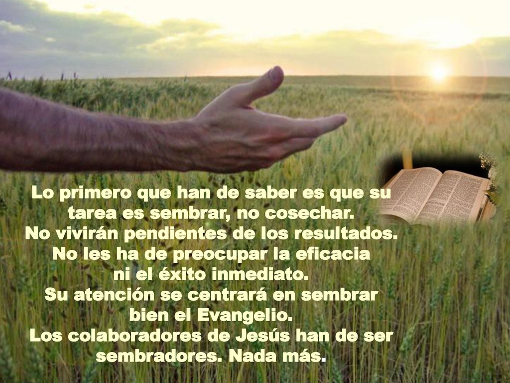 Lo primero que han de saber es que su tarea es sembrar, no cosechar.