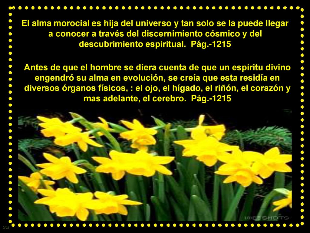 El alma morocial es hija del universo y tan solo se la puede llegar a conocer a través del discernimiento cósmico y del descubrimiento espiritual. Pág.-1215