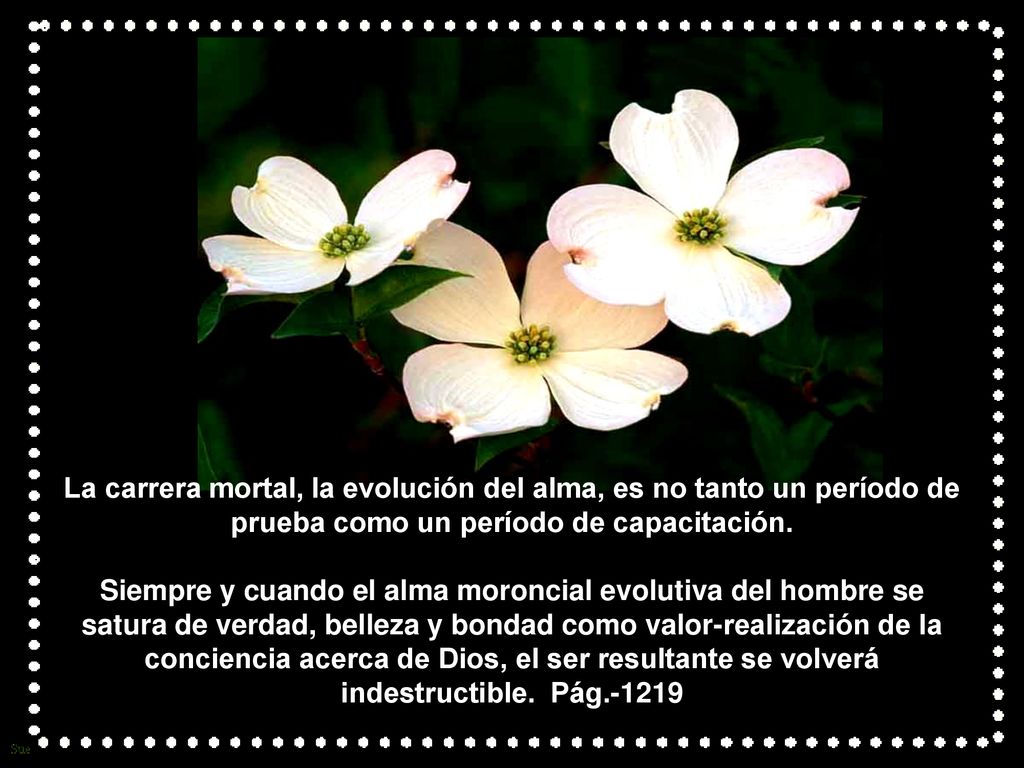 La carrera mortal, la evolución del alma, es no tanto un período de prueba como un período de capacitación.