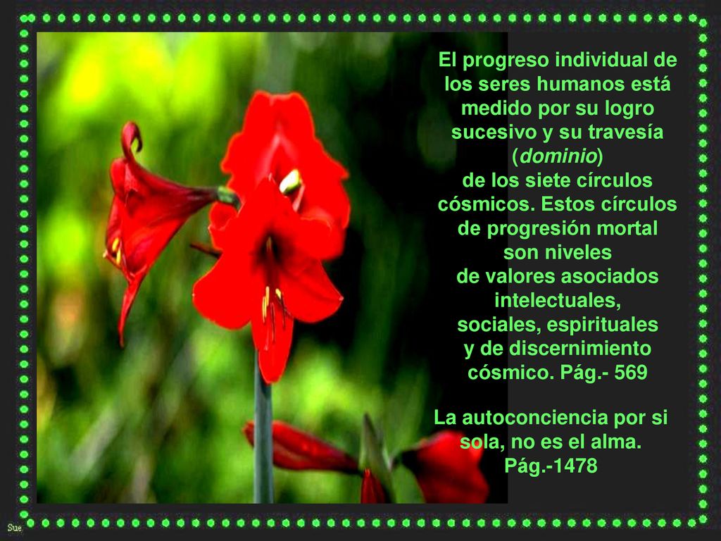 La autoconciencia por si sola, no es el alma. Pág.-1478