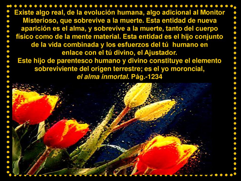 Existe algo real, de la evolución humana, algo adicional al Monitor Misterioso, que sobrevive a la muerte.
