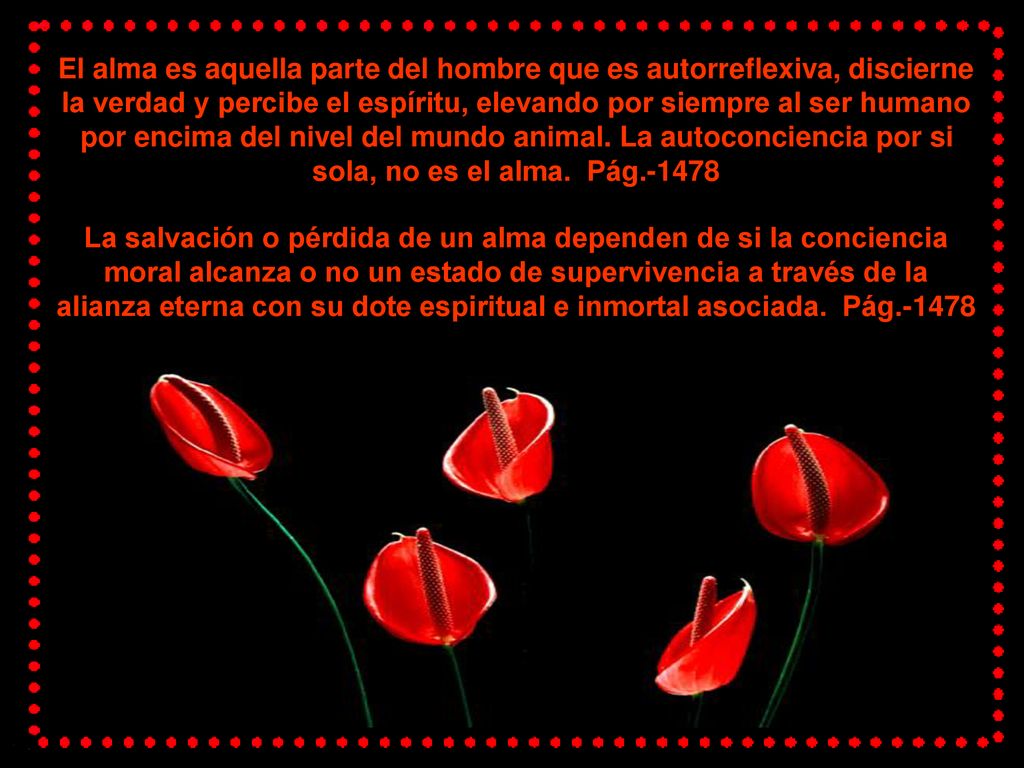 El alma es aquella parte del hombre que es autorreflexiva, discierne la verdad y percibe el espíritu, elevando por siempre al ser humano por encima del nivel del mundo animal. La autoconciencia por si sola, no es el alma. Pág.-1478