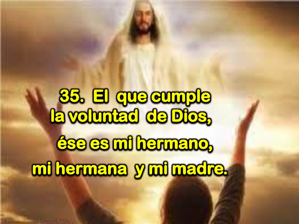 35. El que cumple la voluntad de Dios, ése es mi hermano, mi hermana y mi madre.
