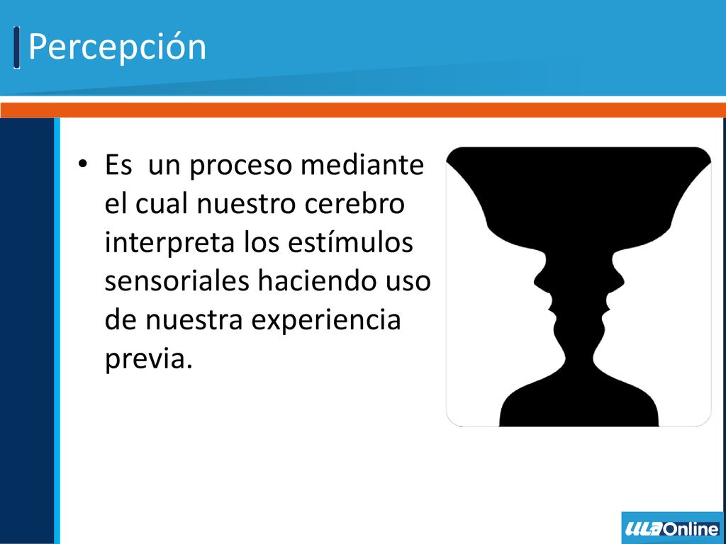 Percepción Es un proceso mediante el cual nuestro cerebro interpreta los estímulos sensoriales haciendo uso de nuestra experiencia previa.