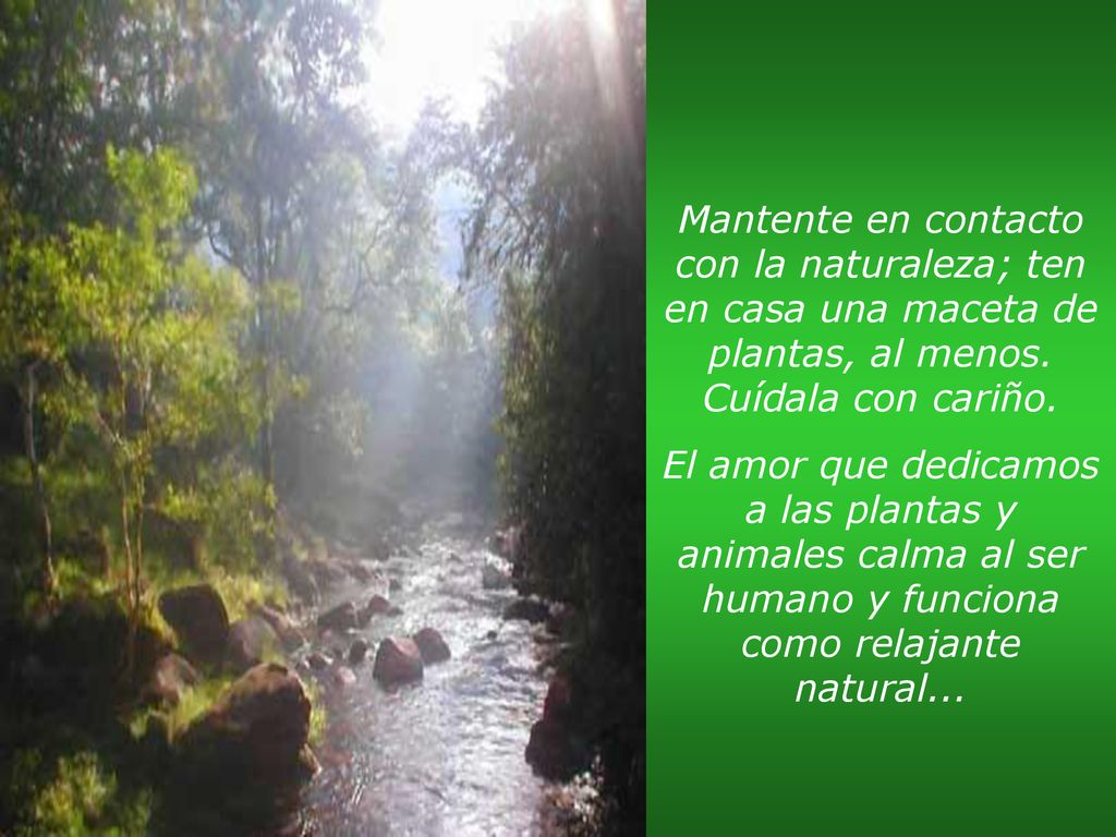 Mantente en contacto con la naturaleza; ten en casa una maceta de plantas, al menos. Cuídala con cariño.