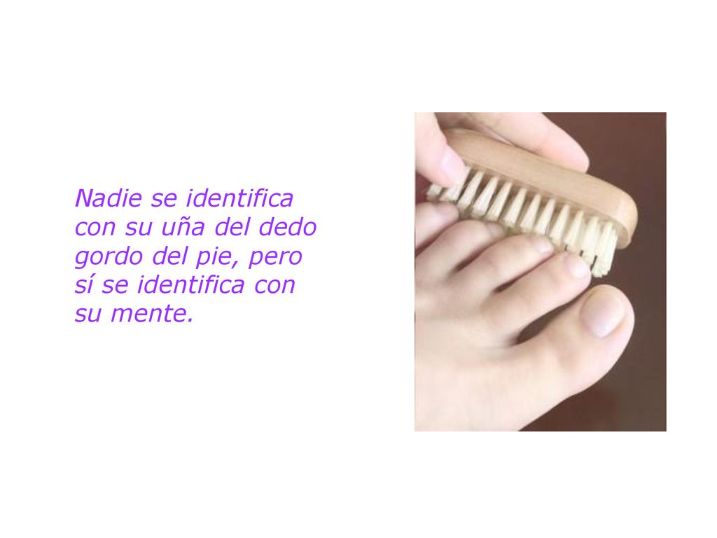 Nadie se identifica con su uña del dedo gordo del pie, pero sí se identifica con su mente.