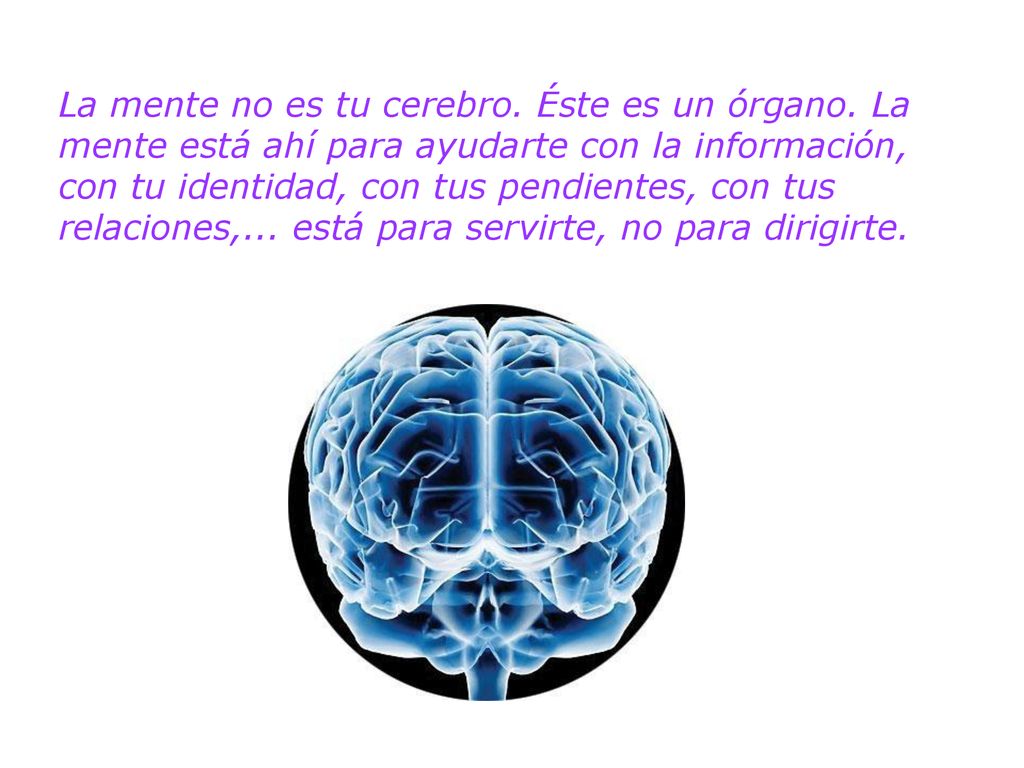 La mente no es tu cerebro. Éste es un órgano