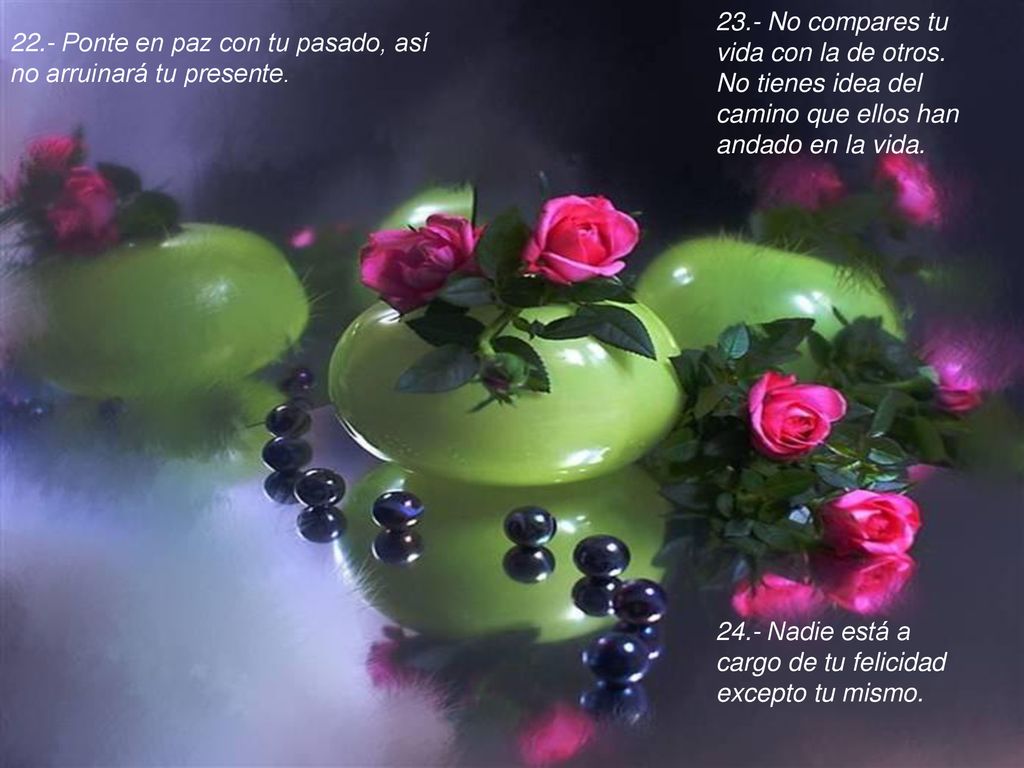 23. - No compares tu vida con la de otros