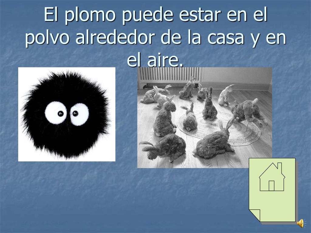 El plomo puede estar en el polvo alrededor de la casa y en el aire.