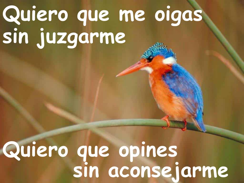 Quiero que me oigas sin juzgarme Quiero que opines sin aconsejarme
