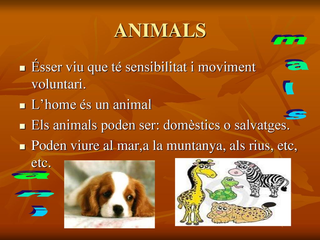 ANIMALS mals ani Ésser viu que té sensibilitat i moviment voluntari.