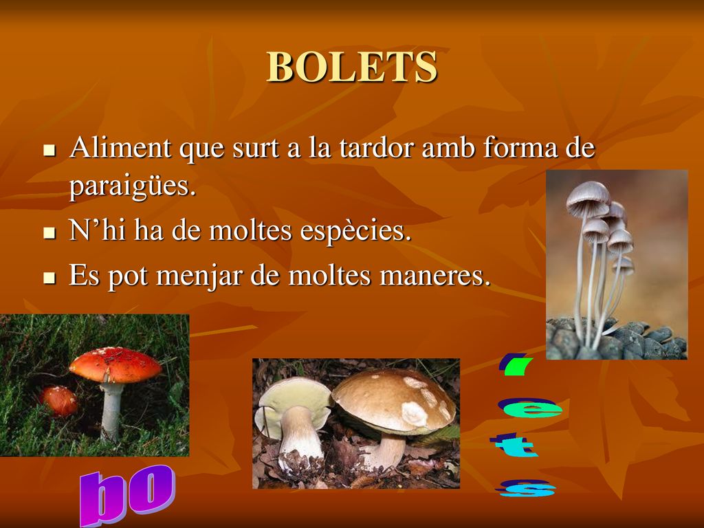 BOLETS lets bo Aliment que surt a la tardor amb forma de paraigües.