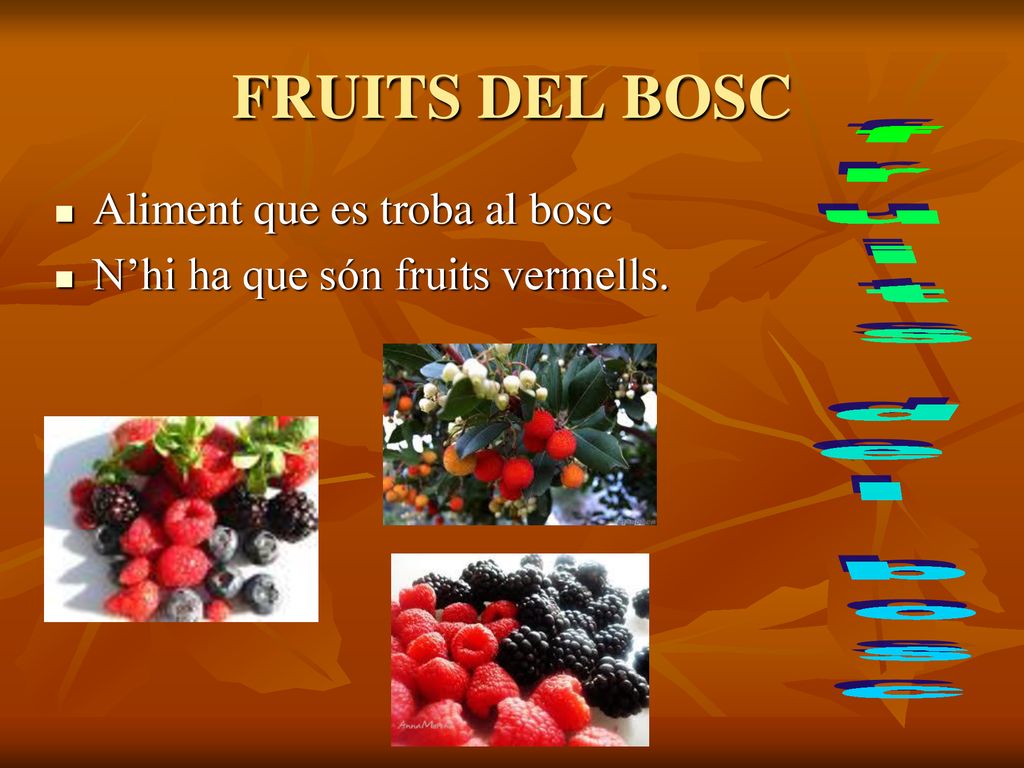 FRUITS DEL BOSC fruits del bosc Aliment que es troba al bosc